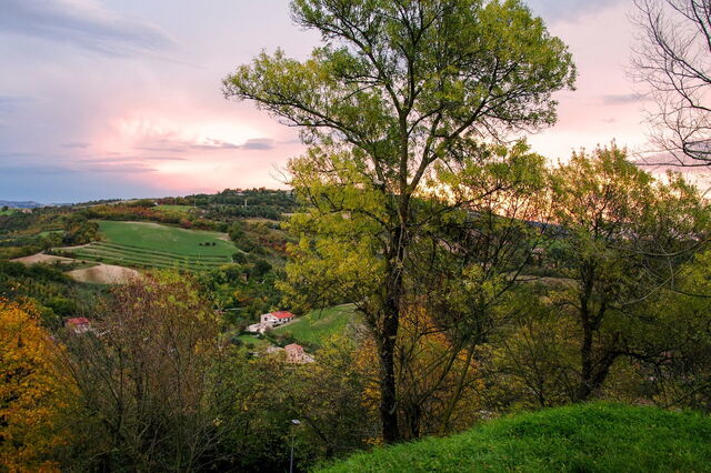 Die Landschaft von Marken