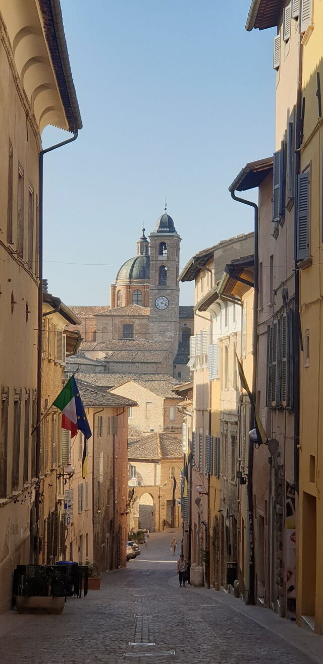 Das historische Zentrum von Urbino