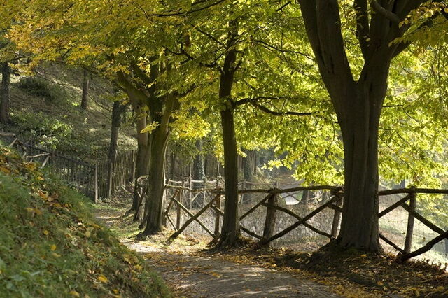 Herbstspaziergang