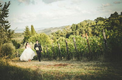 Antico Borgo San Lorenzo, Weinberg