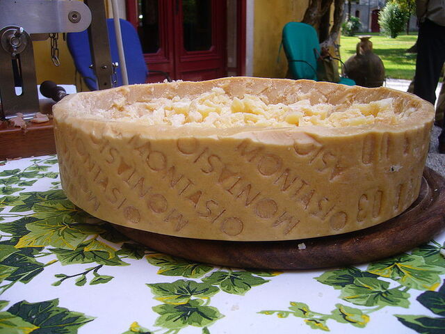 große Scheibe Montasio Käse