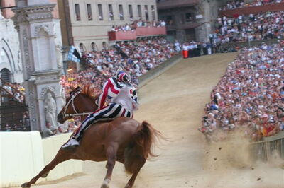 Pferderennen auf dem Palio di Siena