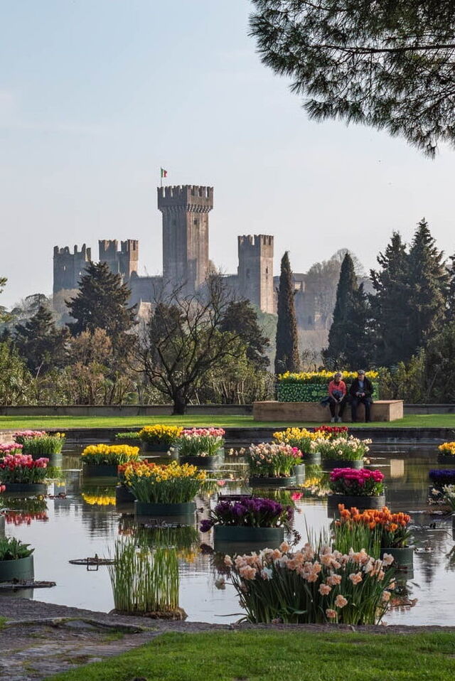 Schwimmende Blumenbeete zur Zeit der Tulipanomania