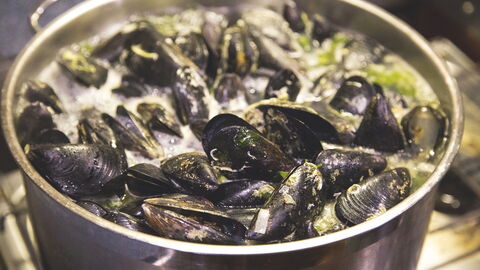 Muscheln in einem Topf