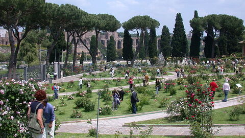 Rom Rosengarten
