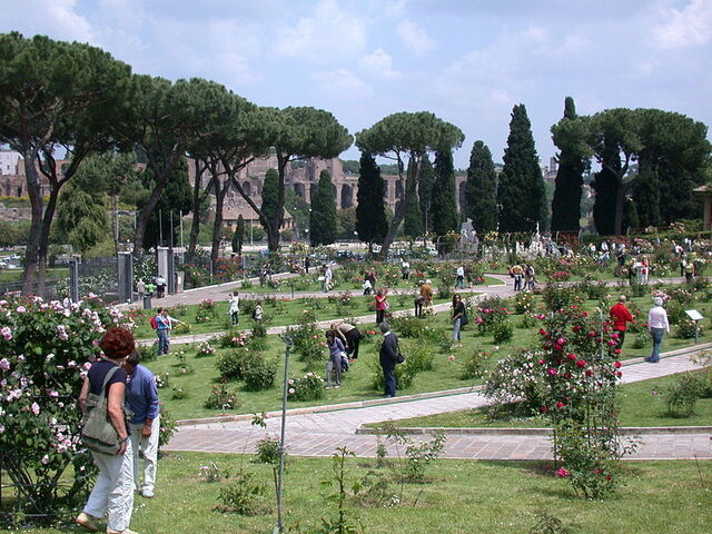 Rom Rosengarten