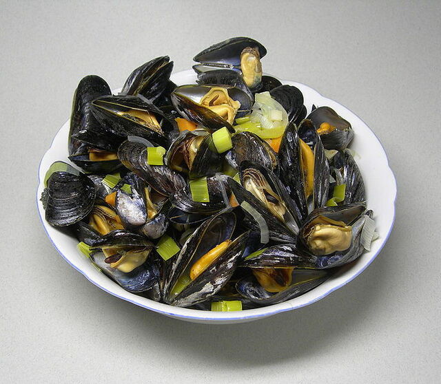 Eine Schale frischer Muscheln