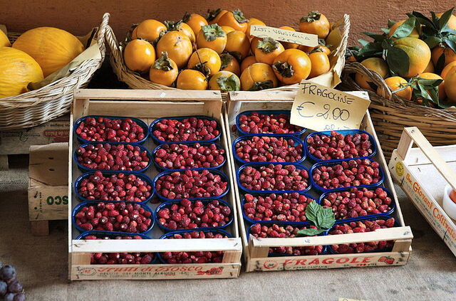 Winzige wilde Erdbeeren aus Nemi