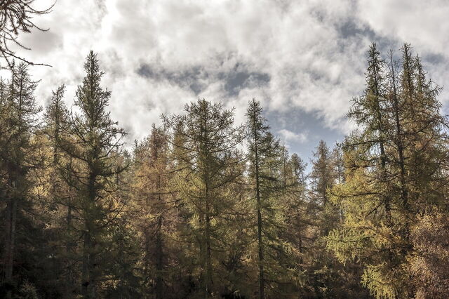 Landschaft des Aostatals