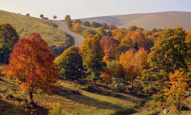 Toskanische Landschaft im Herbst