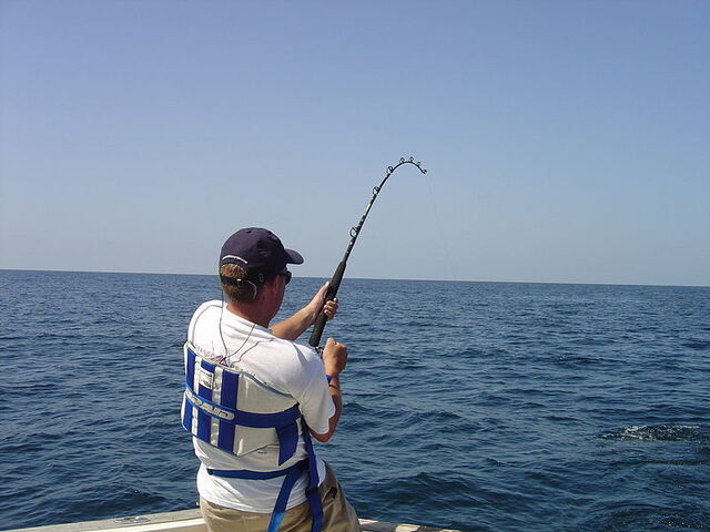 Fischen im Meer