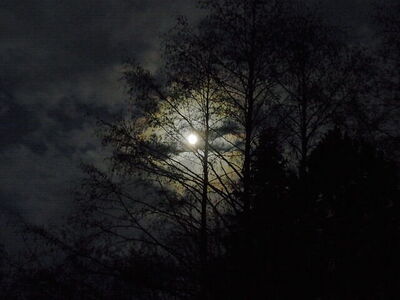 Vollmond