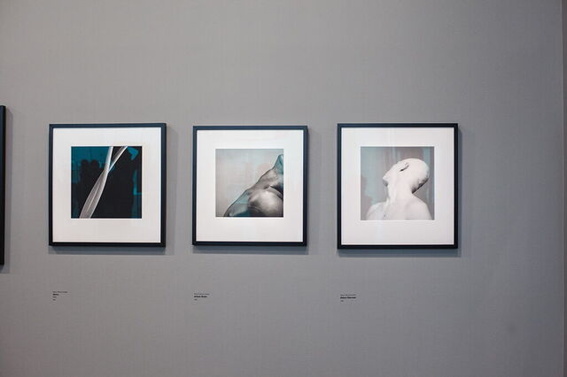 Werke von Mapplethorpe