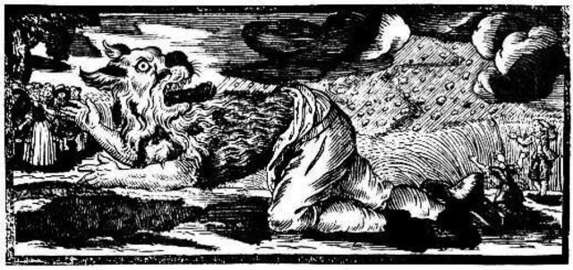 Illustration eines Werwolfes