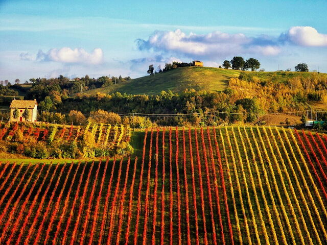 Die Landschaft von Vignola
