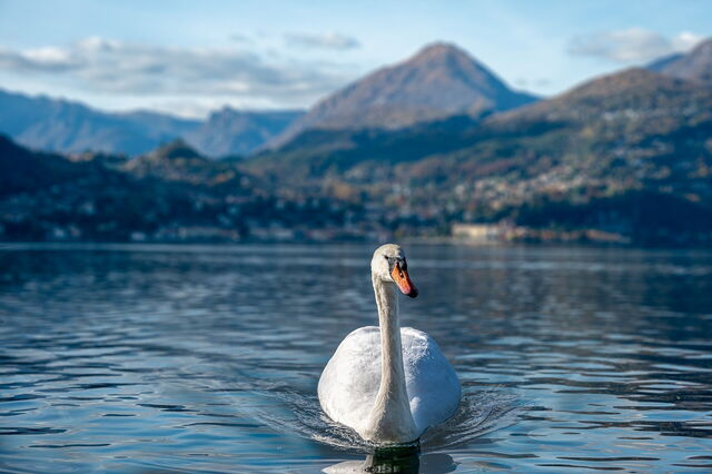Varenna und die Landschaft im Hintergrund