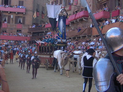 Parade beim Palio di Siena