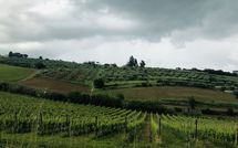 Bild vorgelegt von den Gästen von Villa Ferdinando 