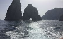 Bild vorgelegt von den Gästen von Villa Deli, in Positano, Sea View, Ac 