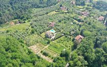 Bild vorgelegt von den Gästen von Le Balze 