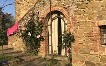 Bild vorgelegt von den Gästen von Podere Orietta 