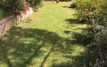 Bild vorgelegt von den Gästen von Casa Cipressi 