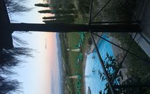 Bild vorgelegt von den Gästen von Montescalari 