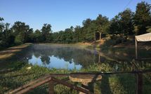 Bild vorgelegt von den Gästen von Fucecchio 900 