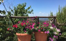 Bild vorgelegt von den Gästen von Casetta i Ciliegi 