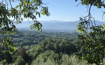 Bild vorgelegt von den Gästen von Villa Flora 