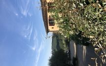 Bild vorgelegt von den Gästen von Montegufoni 