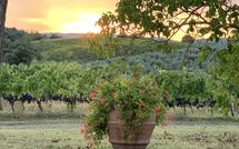 Bild vorgelegt von den Gästen von Vittoriana 