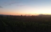 Bild vorgelegt von den Gästen von Borgo Casa di Lappi 