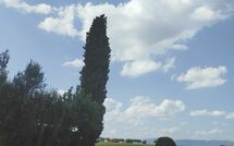 Bild vorgelegt von den Gästen von Villa Il Cedro 