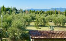 Bild vorgelegt von den Gästen von Galleria di Brolio 