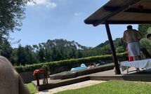 Bild vorgelegt von den Gästen von Camaiore 634 