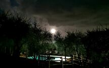 Bild vorgelegt von den Gästen von Villa Mastiano 