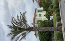 Bild vorgelegt von den Gästen von Villa Nicodemi 