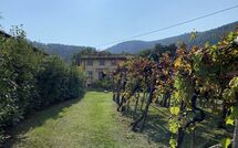 Bild vorgelegt von den Gästen von Bettina! 