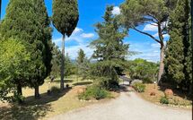 Bild vorgelegt von den Gästen von Villa Cecilia 