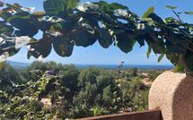 Bild vorgelegt von den Gästen von Bouganville 