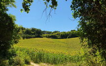 Bild vorgelegt von den Gästen von Gabicce Mare 603 