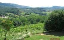 Bild vorgelegt von den Gästen von San Pierino 