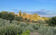 Bild vorgelegt von den Gästen von Casa Cervognano 