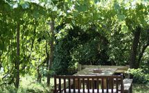 Bild vorgelegt von den Gästen von La Cenerara 