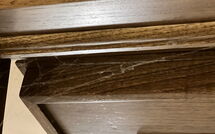 Bild vorgelegt von den Gästen von La Cipressa 