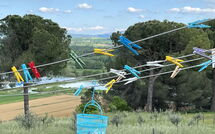 Bild vorgelegt von den Gästen von Poggio Falcone 