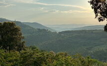 Bild vorgelegt von den Gästen von Villa Crispinino 