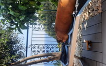 Bild vorgelegt von den Gästen von Orizzonte 