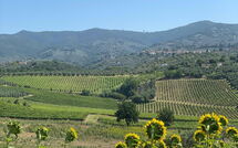 Bild vorgelegt von den Gästen von Il Leccio 